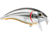 Bull Nose