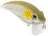Bull Nose
