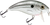 Bull Nose