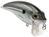 Bull Nose
