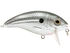 Bull Nose