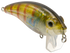 Bull Nose