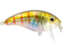 Bull Nose