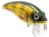 Bull Nose