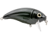 Bull Nose