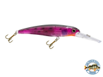 Voyager 15 Walleye