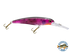 Voyager 15 Walleye