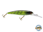 Voyager 15 Walleye