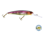 Voyager 15 Walleye
