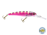 Voyager 15 Walleye