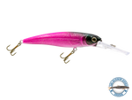Voyager 15 Walleye