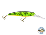 Voyager 15 Walleye