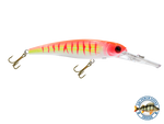 Voyager 15 Walleye