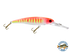 Voyager 15 Walleye