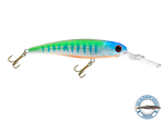 Voyager 15 Walleye