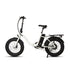 E-FAT-STEP - Electric Bicycle