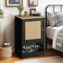 Feeding Station with 1 Storage Cabinet Black