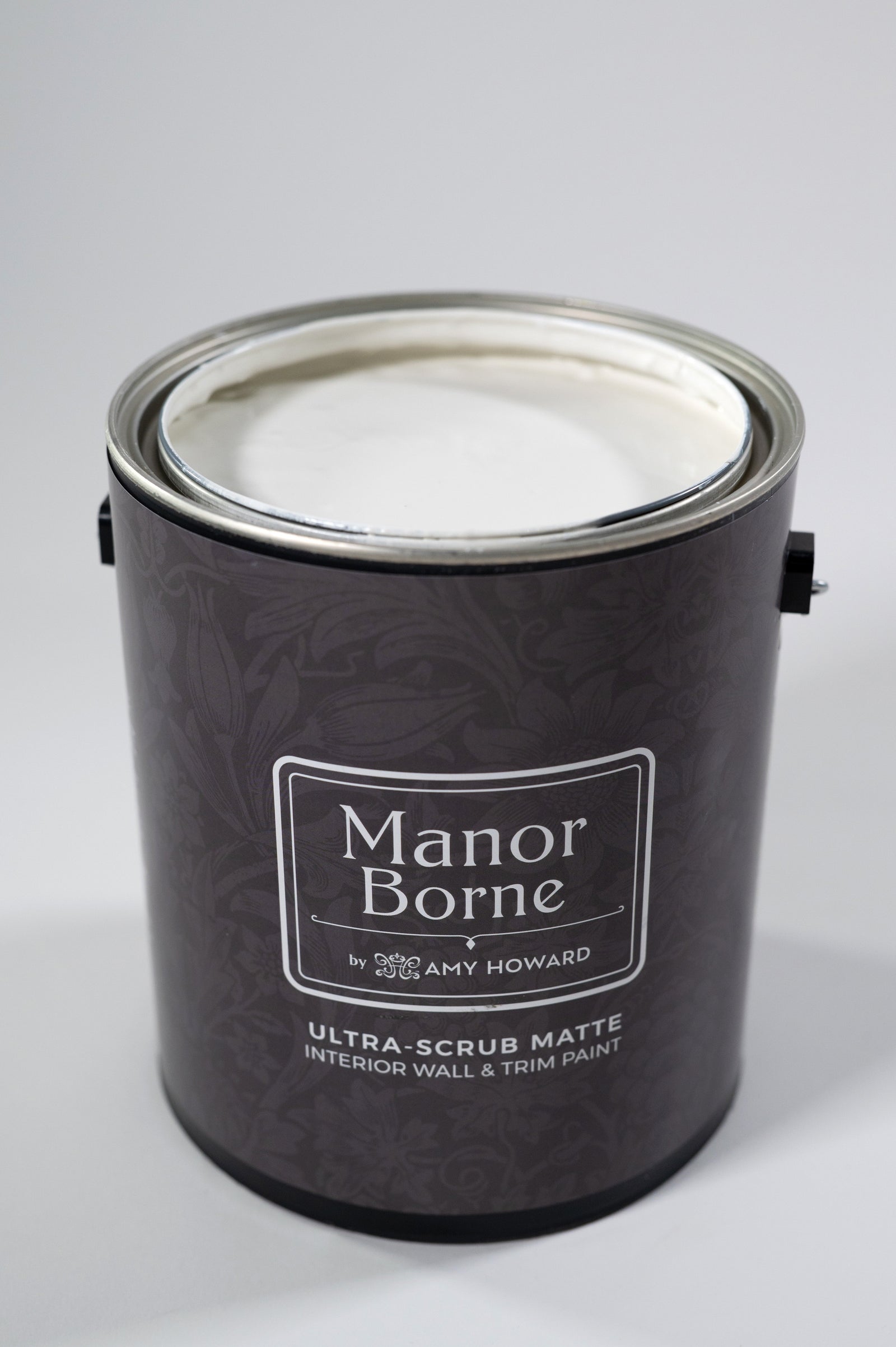 Piano Lessons - Manor Borne Wall Paint