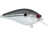 Primetyme SQ 2.0