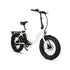E-FAT-STEP - Electric Bicycle