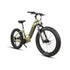 FAT-HD 2.0 / Hunter X7 - Electric Bicycle