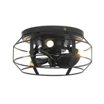 12" Flush Mount Low Profile Caged Small Ceiling Fan with Light and Remote Control