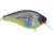 Primetyme CB 2.0