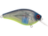 Primetyme CB 2.0