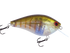 Primetyme CB 2.0
