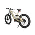 SPECTER-S 3.0 / Hunter X9 -Electric Bicycle