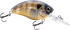 Howeller DMC Jr.