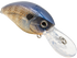 Howeller DMC Jr.