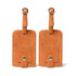 Tan Leather Luggage Tags Set
