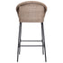 Ladd Outdoor Metal Wicker Barstool Set of 2