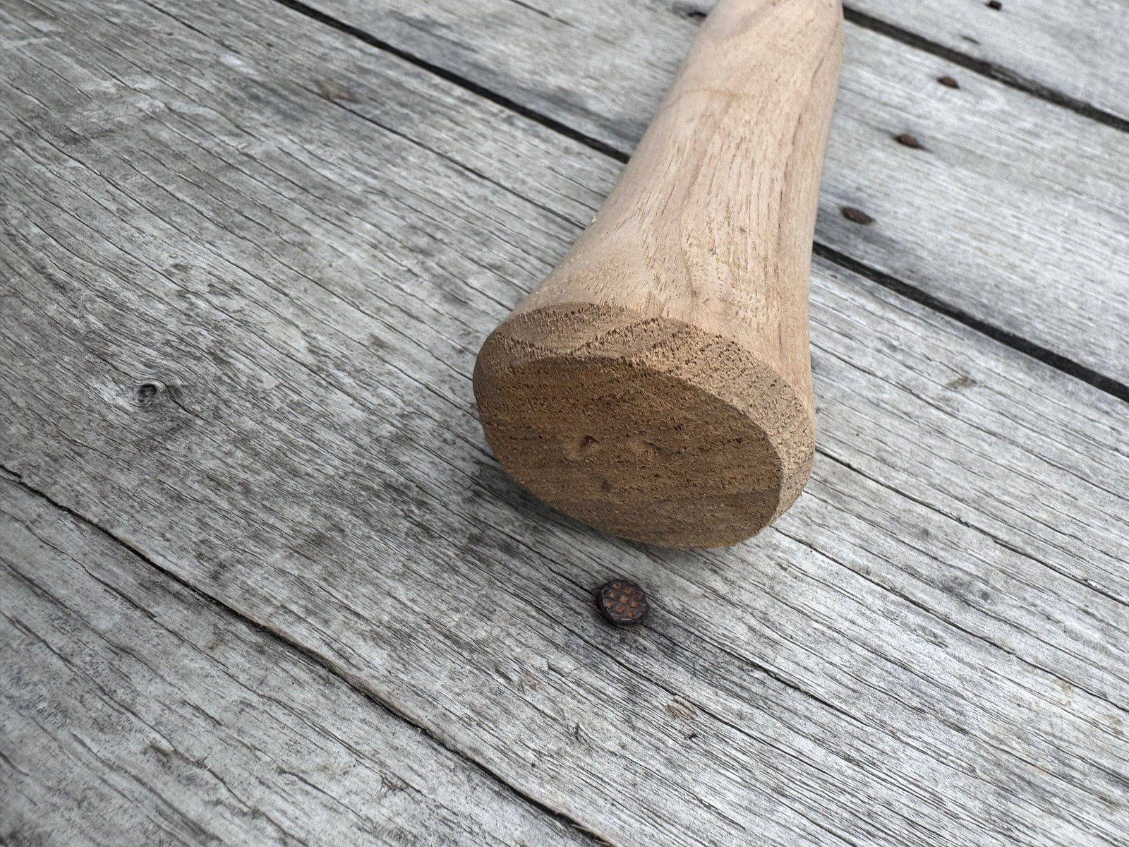Beaver Tooth 16