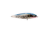 Gatto Loco Catfish Rig