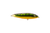 Gatto Loco Catfish Rig