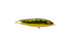 Gatto Loco Catfish Rig