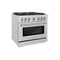 ZLINE 36" Select Gas Range Convection Gas Oven DuraSnow® Stainless Steel Brass Burners HGRS-BR-36