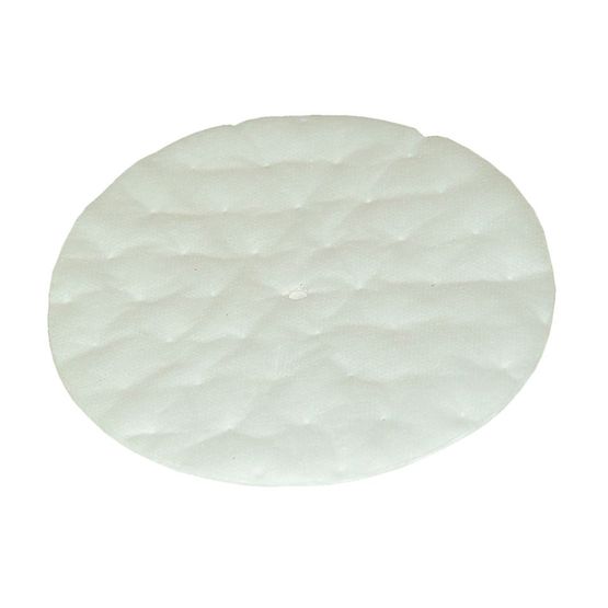 Pro-Team 101220 High Filtration Discs for Dome Filter (2 pk.)