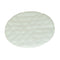 Pro-Team 101220 High Filtration Discs for Dome Filter (2 pk.)
