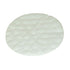 Pro-Team 101220 High Filtration Discs for Dome Filter (2 pk.)