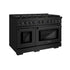 ZLINE 48"Paramount Dual Fuel Range Black Stainless Steel, Brass Burners SDRB-BR-48