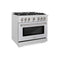 ZLINE 36" Select Gas Range Convection Gas Oven DuraSnow® Stainless Steel HGRS-36