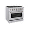 ZLINE 36" Select Dual Fuel Range Gas Cooktop Electric Convection Oven Stainless Steel Brass Burners HDR-BR-36