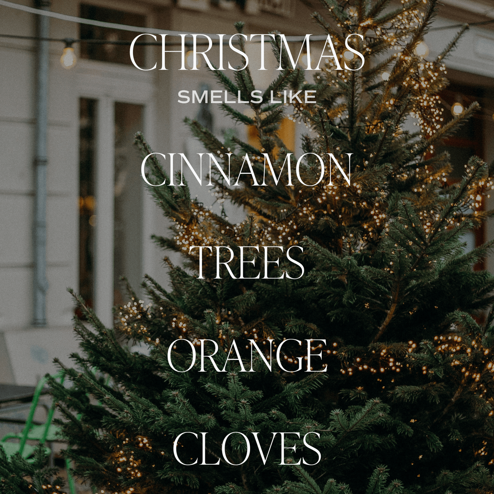 Christmas Amber Reed Diffuser