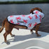 Lowcountry Proper Dog Coat