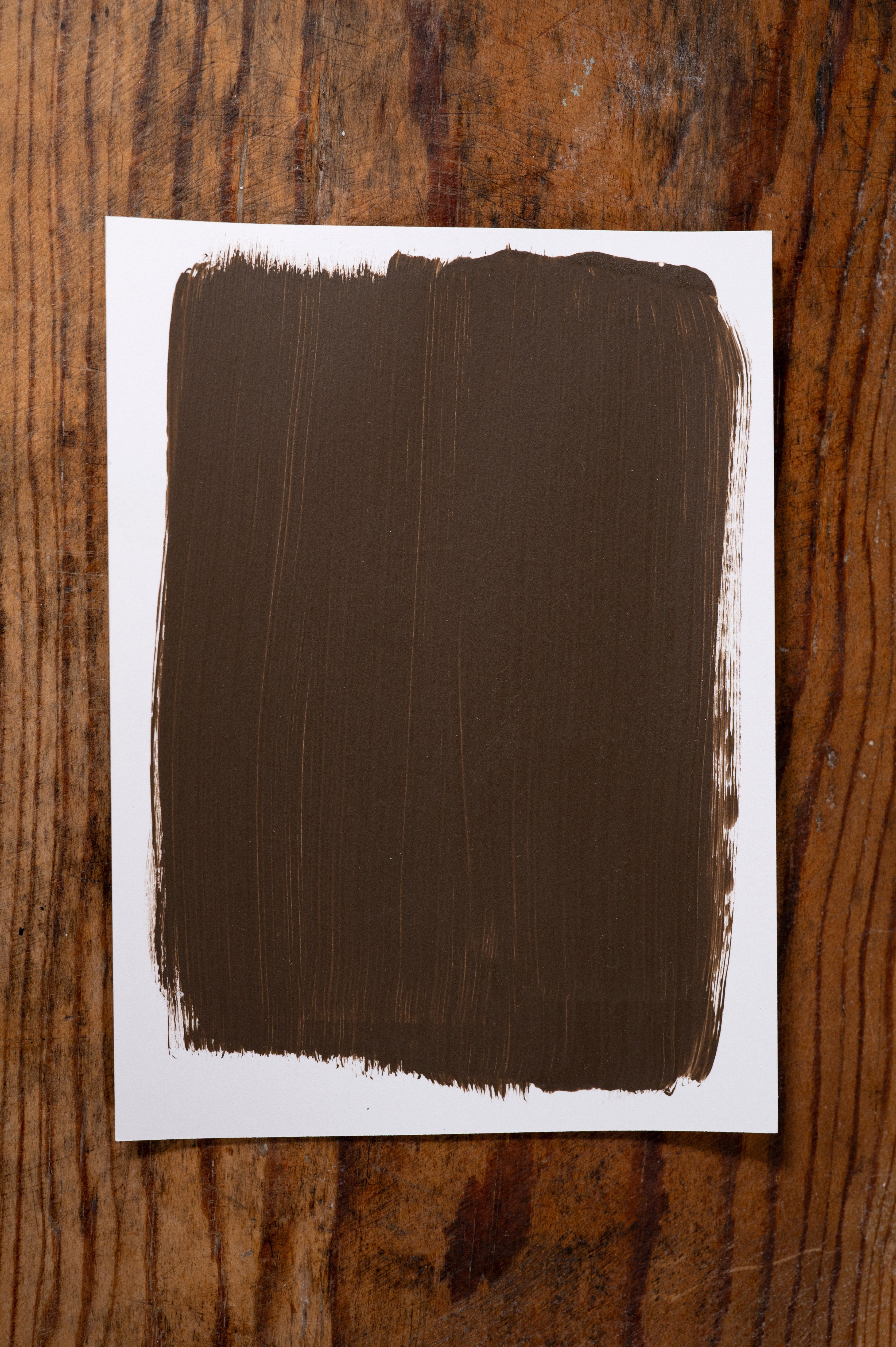 Proof in the Pudding - Manor Borne Wall Paint