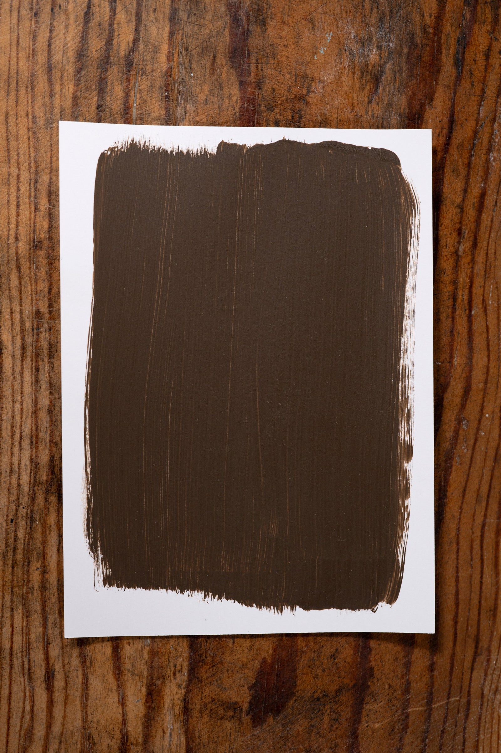 Proof in the Pudding - Manor Borne Wall Paint