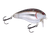 Pro Wake